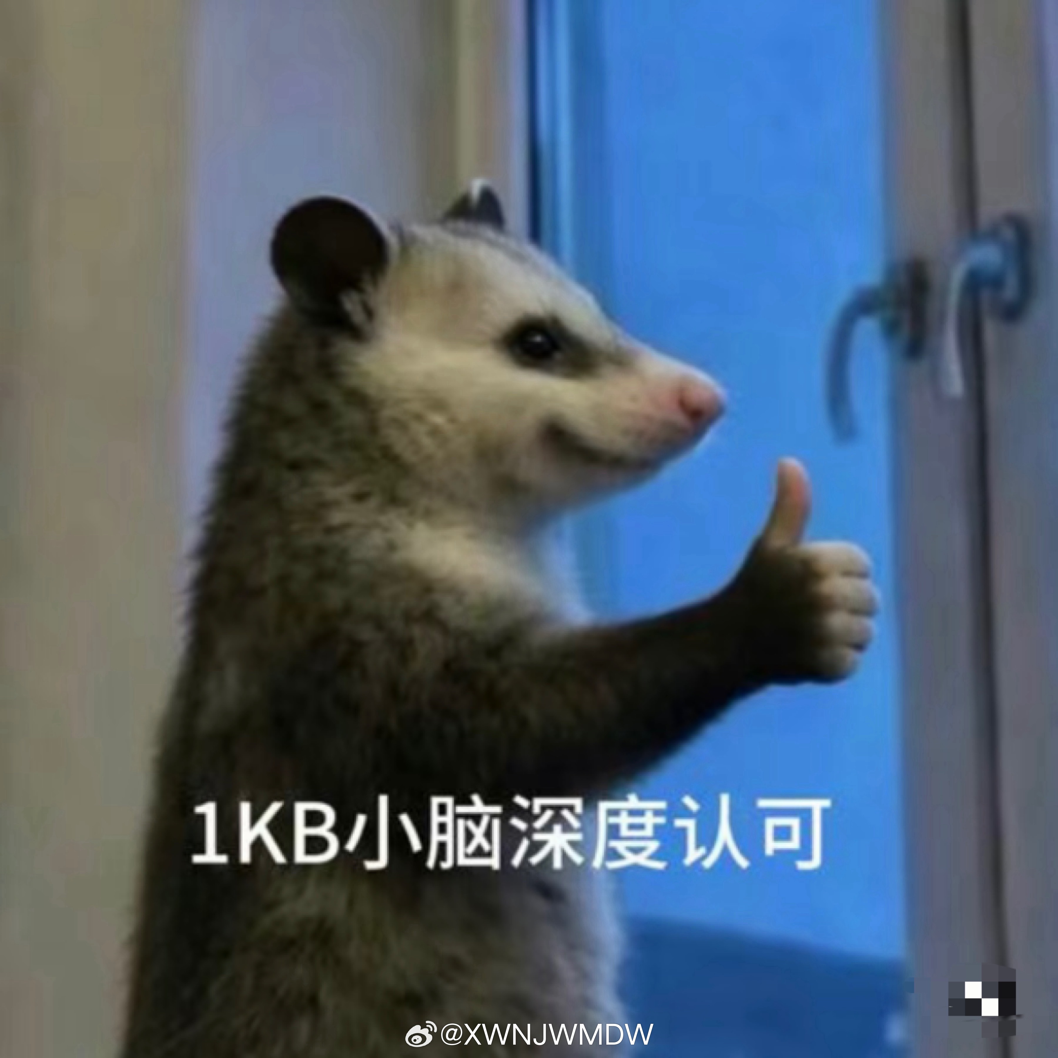 大家新充了高会一定不要忘记关注宝老师好吗！ 还有👍🏻和⭐ 