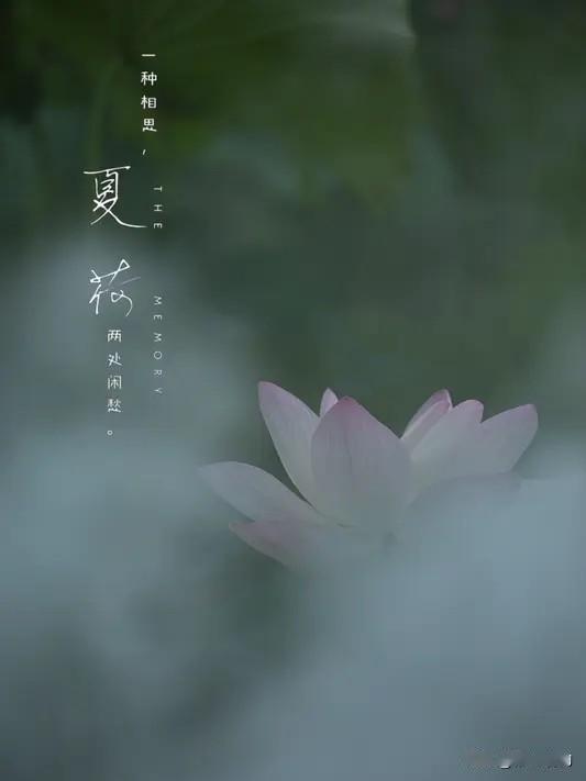 《苏幕遮·初夏羁怀》学填词之六十九，词林正韵。

暑初临，金浪起。远陌回风，万顷