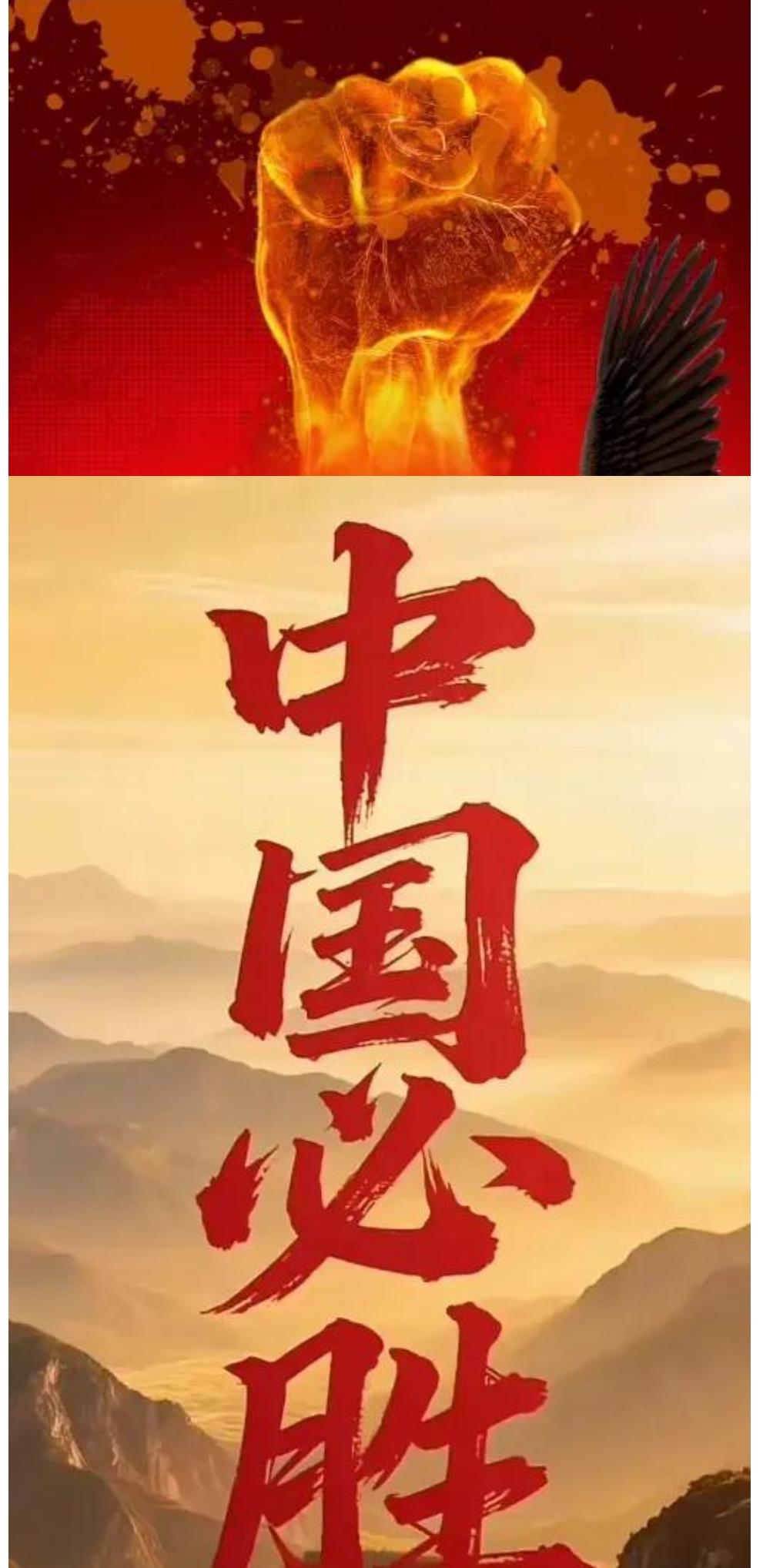 中国不退。伊朗退了，叙利亚退了，巴勒斯坦退了，黎巴嫩退了，塞尔维亚退了，委内瑞拉