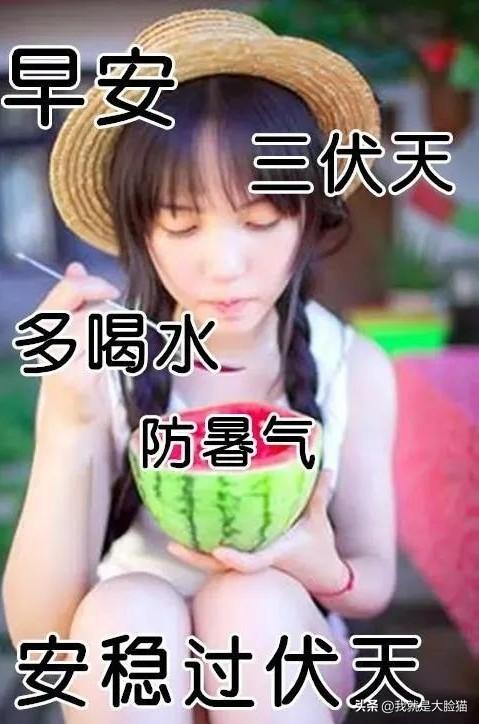烈日炎炎似火烧，
防暑降温最重要。
多喝水来休息好！
清爽陪你度伏天。
酷暑天送