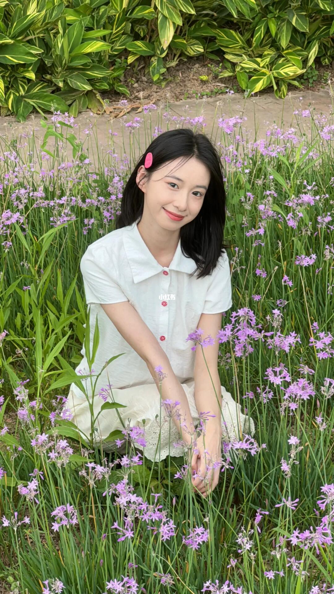 芳草地🌳