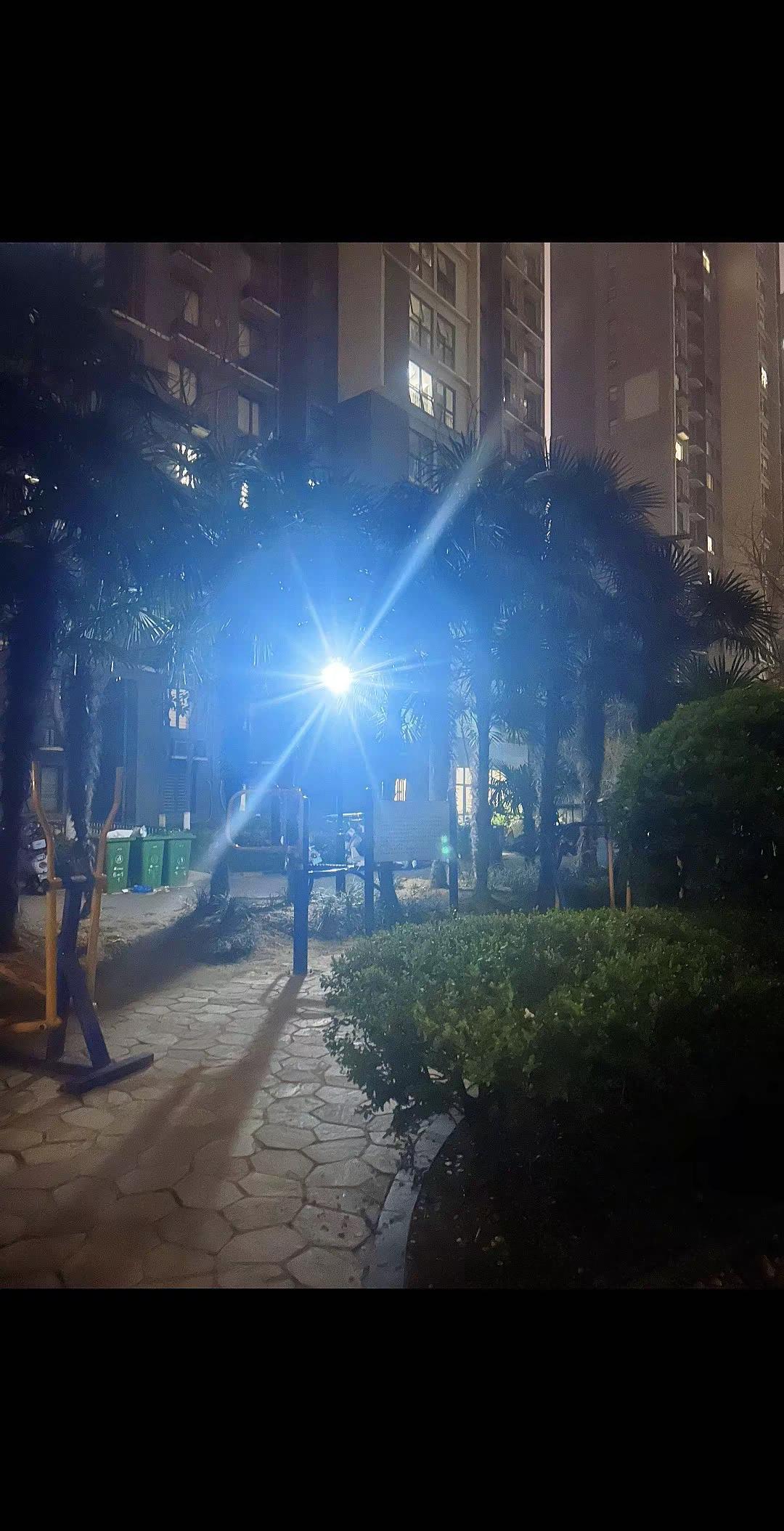 社会发展的尽头是返璞归真
