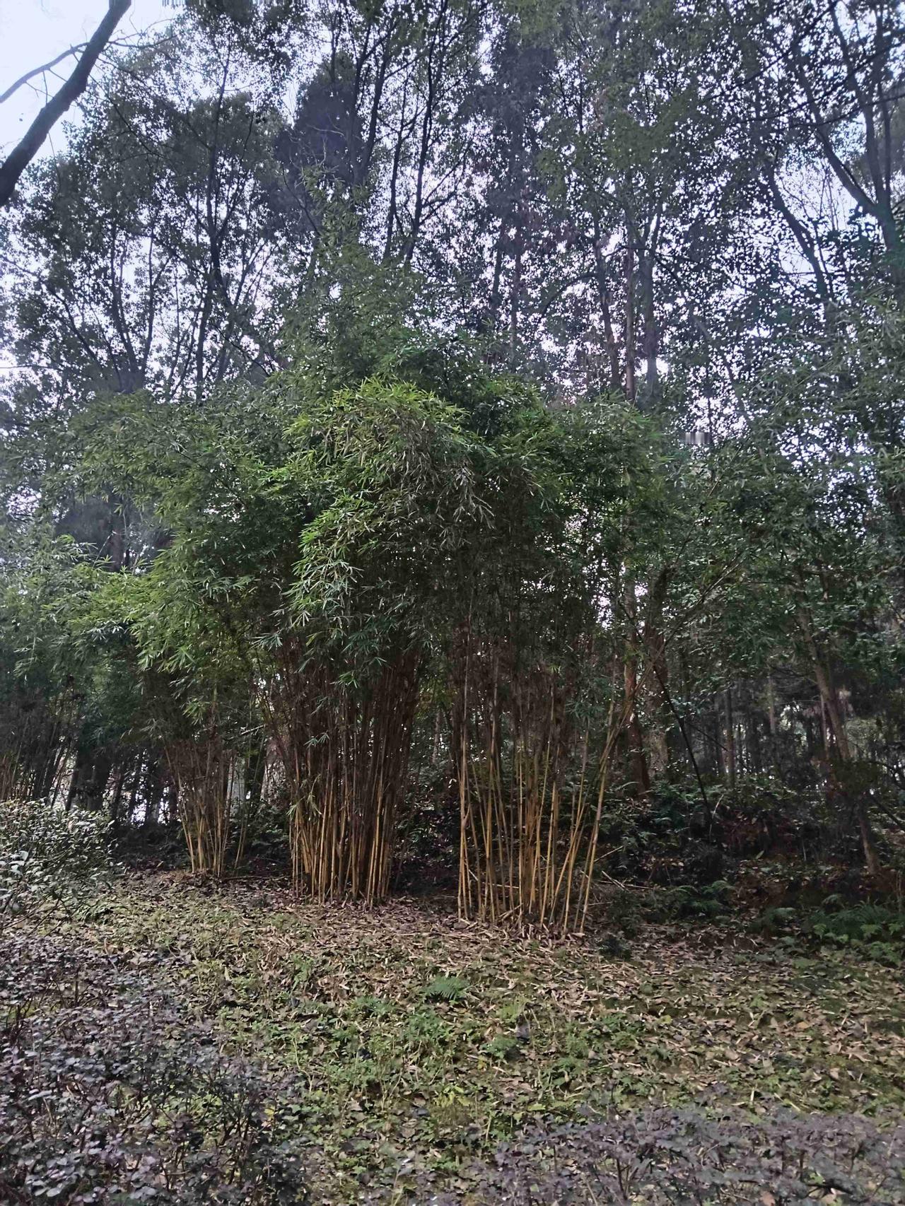 我的今日状态：😁轻松愉快
我这里的天气：🌧下雨