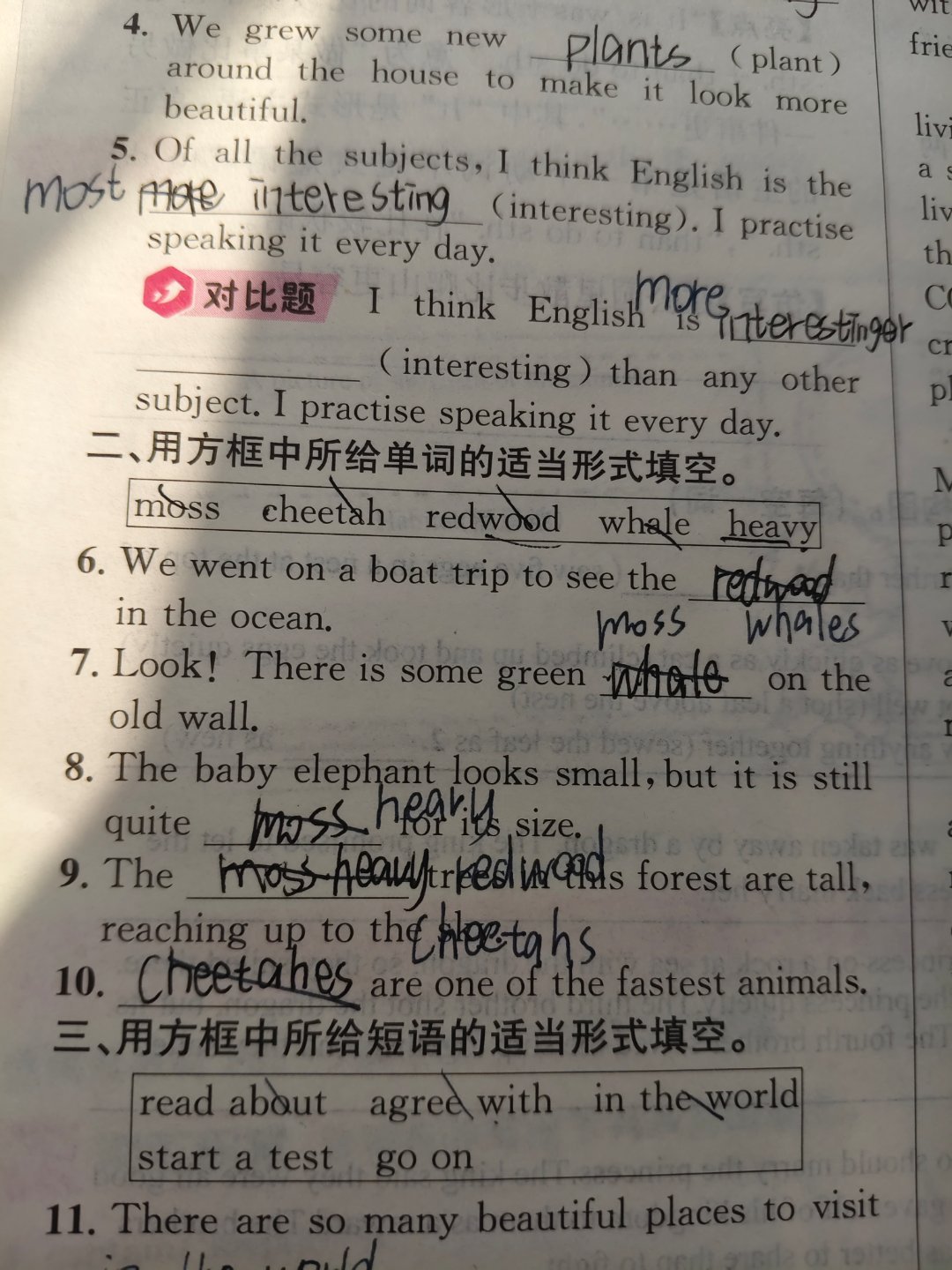 实力派 ​​​