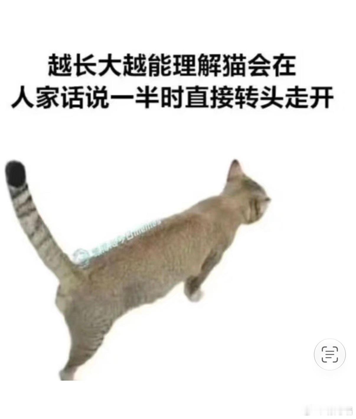 对 ​​​