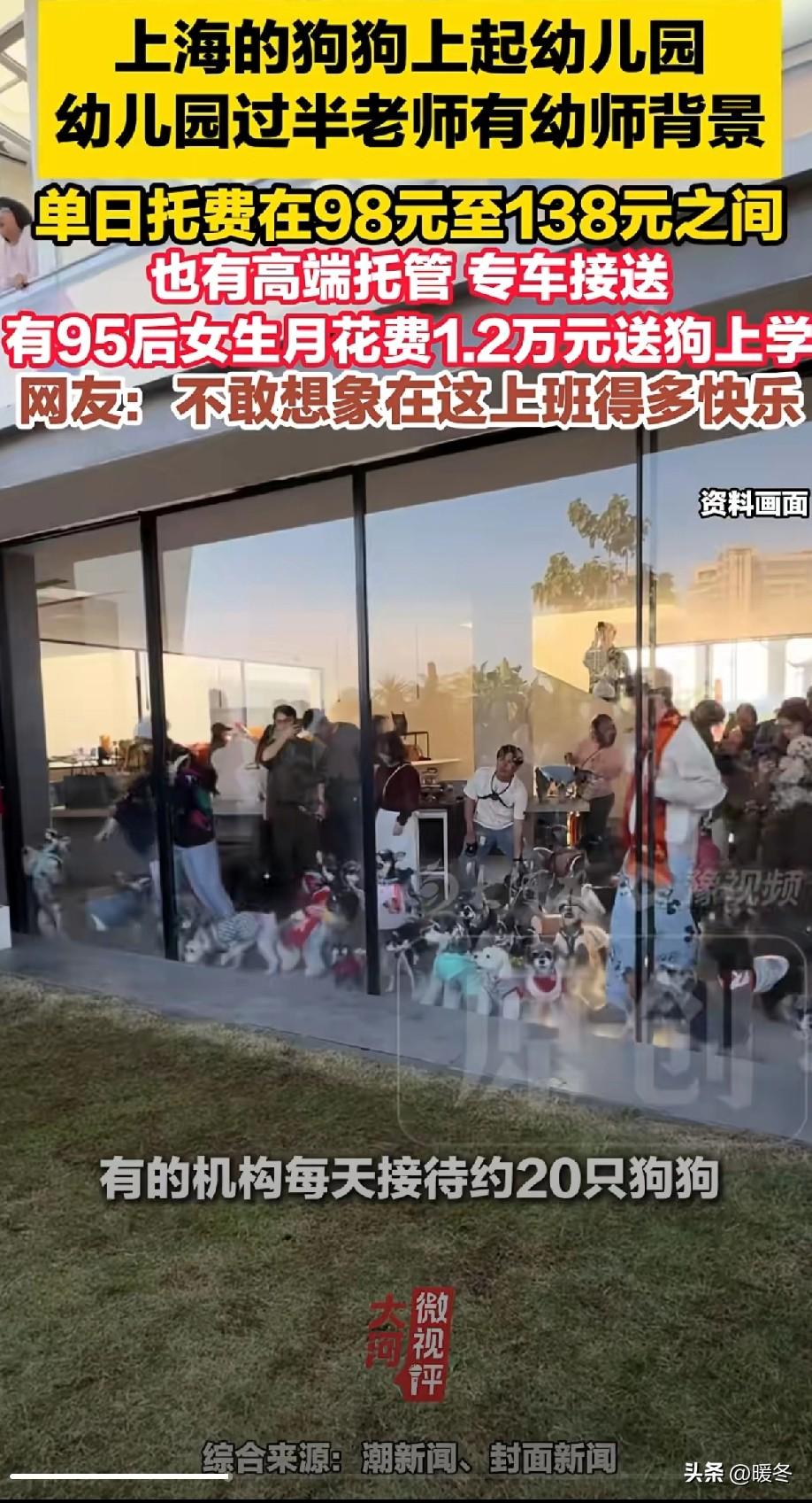 月花1万2送狗上学？这钱花得，多少打工人看了都心塞
 
上海95后女生每月砸1万