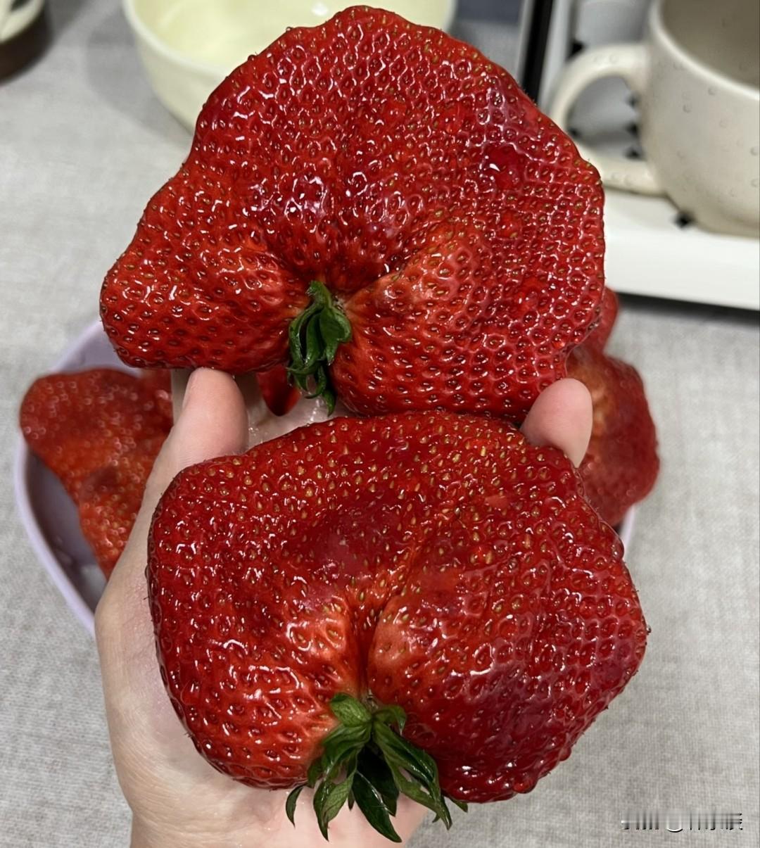 晒图笔记大赛这草莓，真大。买了一盆草莓，发现其中有两个草莓超级超级大，两个草莓比