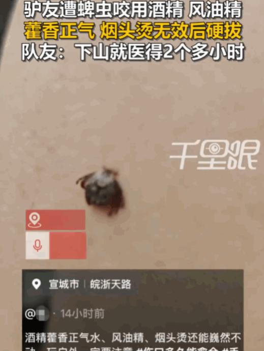 太可怕了！安徽宣城，一男子徒步至半山腰时，不幸被蜱虫紧紧咬住。因下山就医需两小时