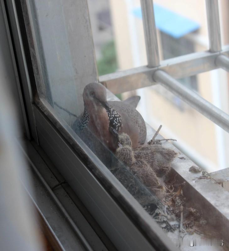 傍晚的街道，夕阳给建筑镀上金边，行人匆匆，偶尔有孩童追逐嬉戏，镜头捕捉下那抹跳跃