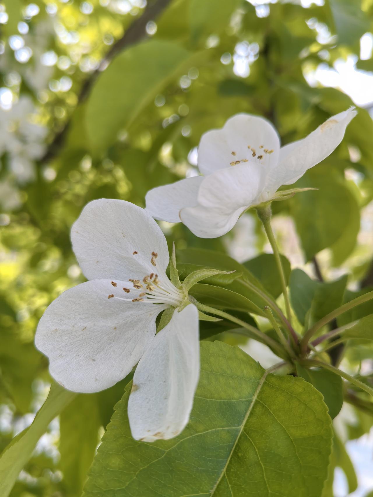 现在的孩子很少有事业感，下班大多数打游戏，娱乐。
说人有五大需求，穿衣吃饭是最基