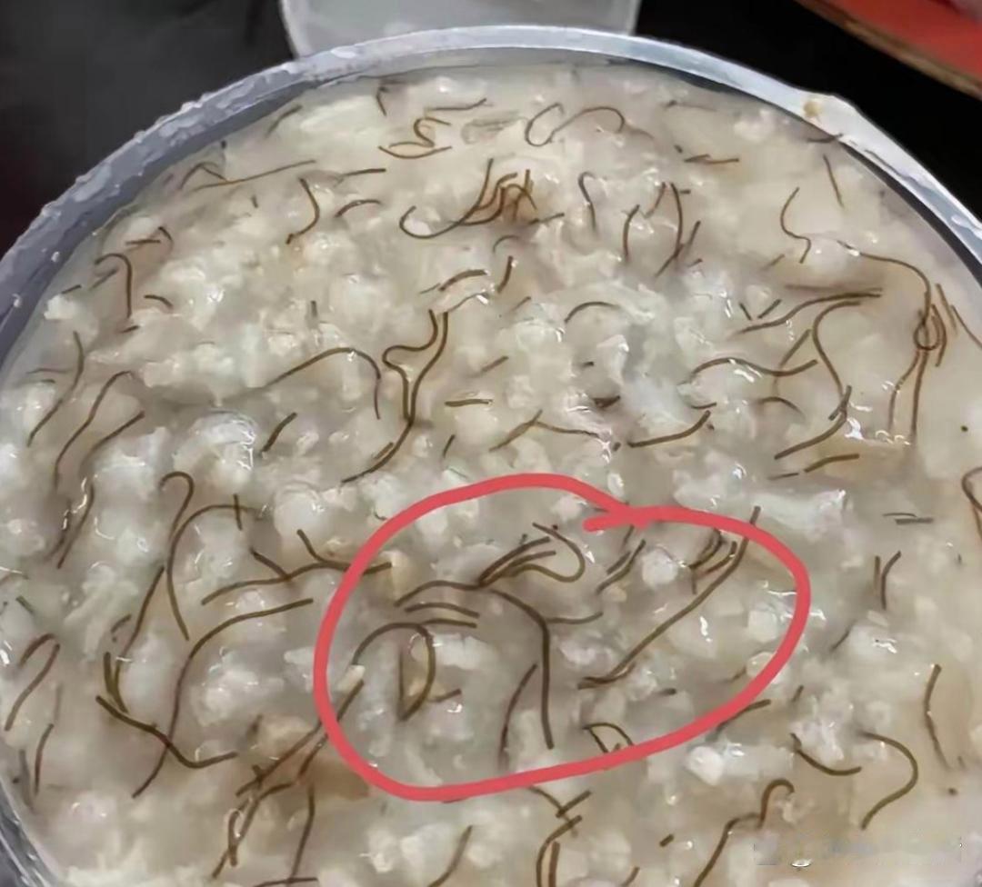 楼下的早餐店我今天第一次光临，进去就要了碗大米粥，可当服务员端粥过来时，我傻眼了