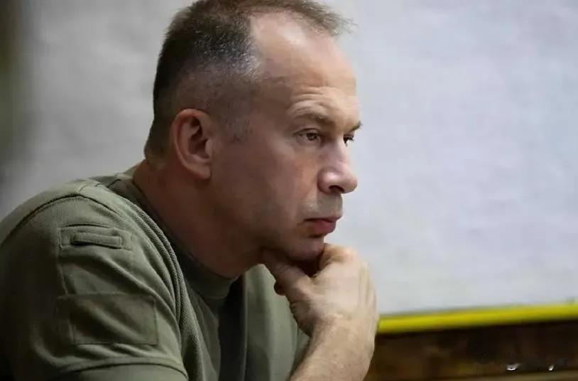 乌军总司令希尔斯基公布俄军部分武器装备采购订单数据。“到2025年底，俄罗斯已完