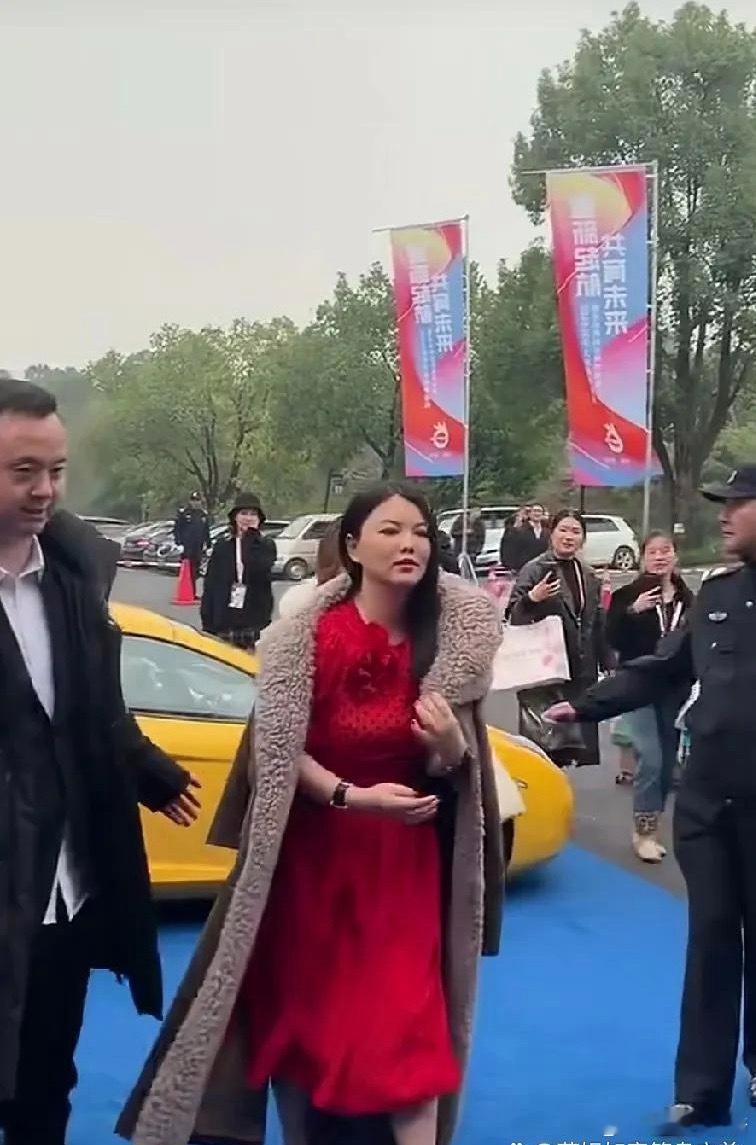 李湘的气场强大，妥妥的贵妇模样。她这身衣服得多少钱，我竟然喜欢她穿的大衣。她跟王
