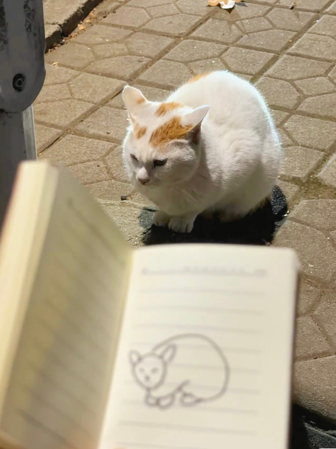 不在乎世俗的耳光，就能一直画下去我的幽默灵感片场