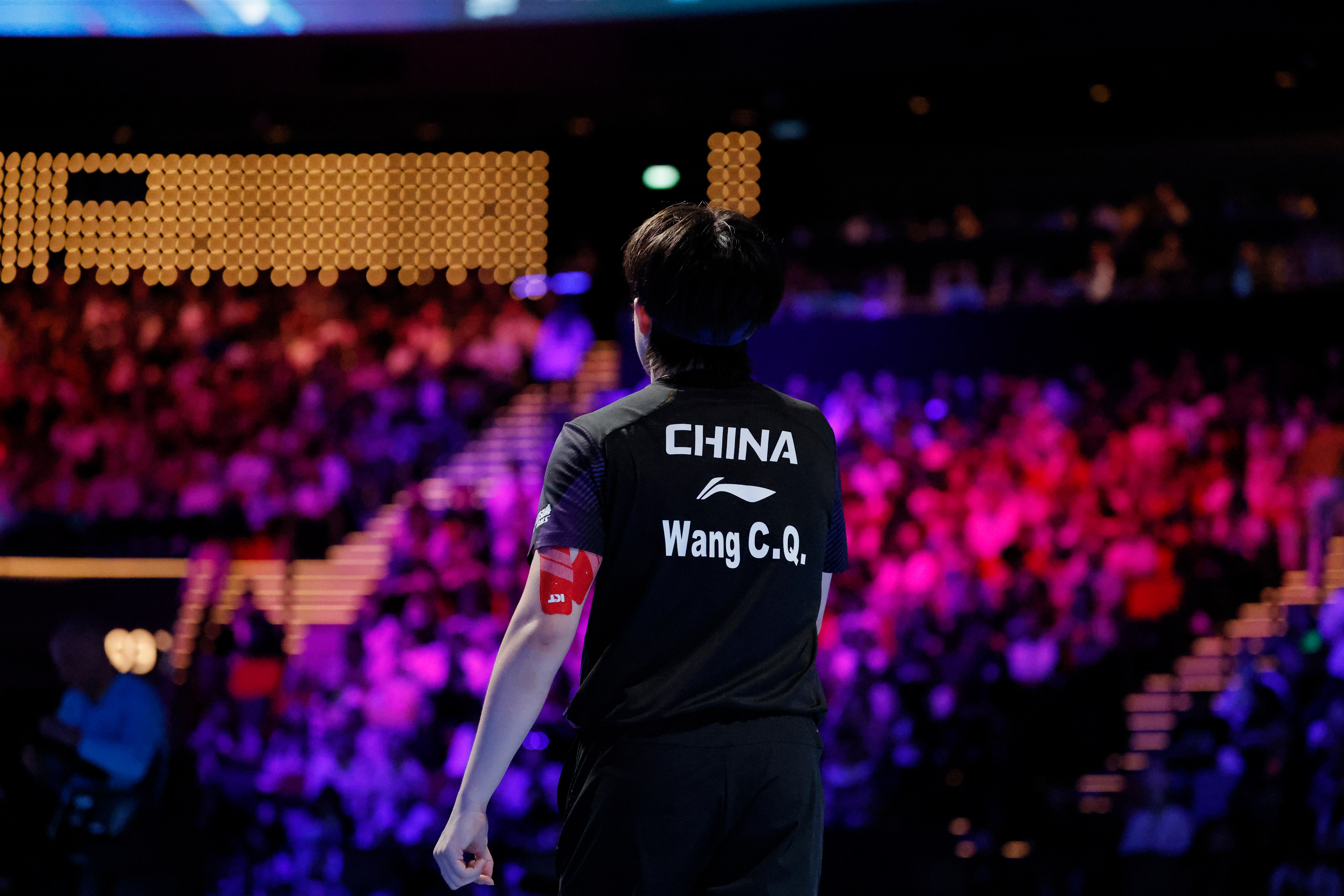 王楚钦 王楚钦冠军 2026澳门乒乓球世界杯 20260406｜澳门世界杯男单图