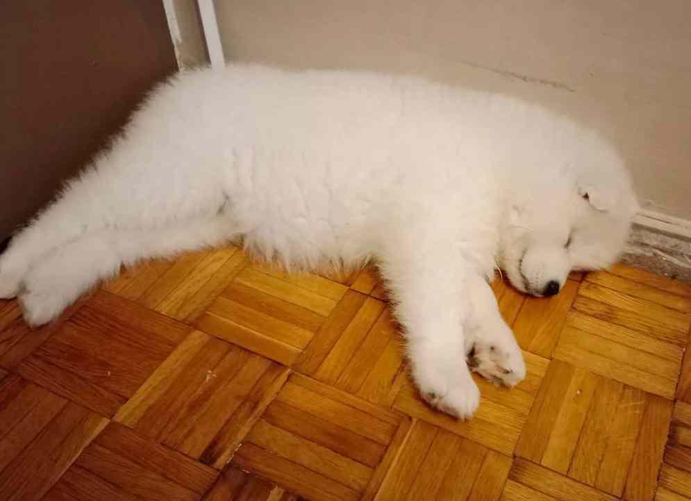 晚安耶 