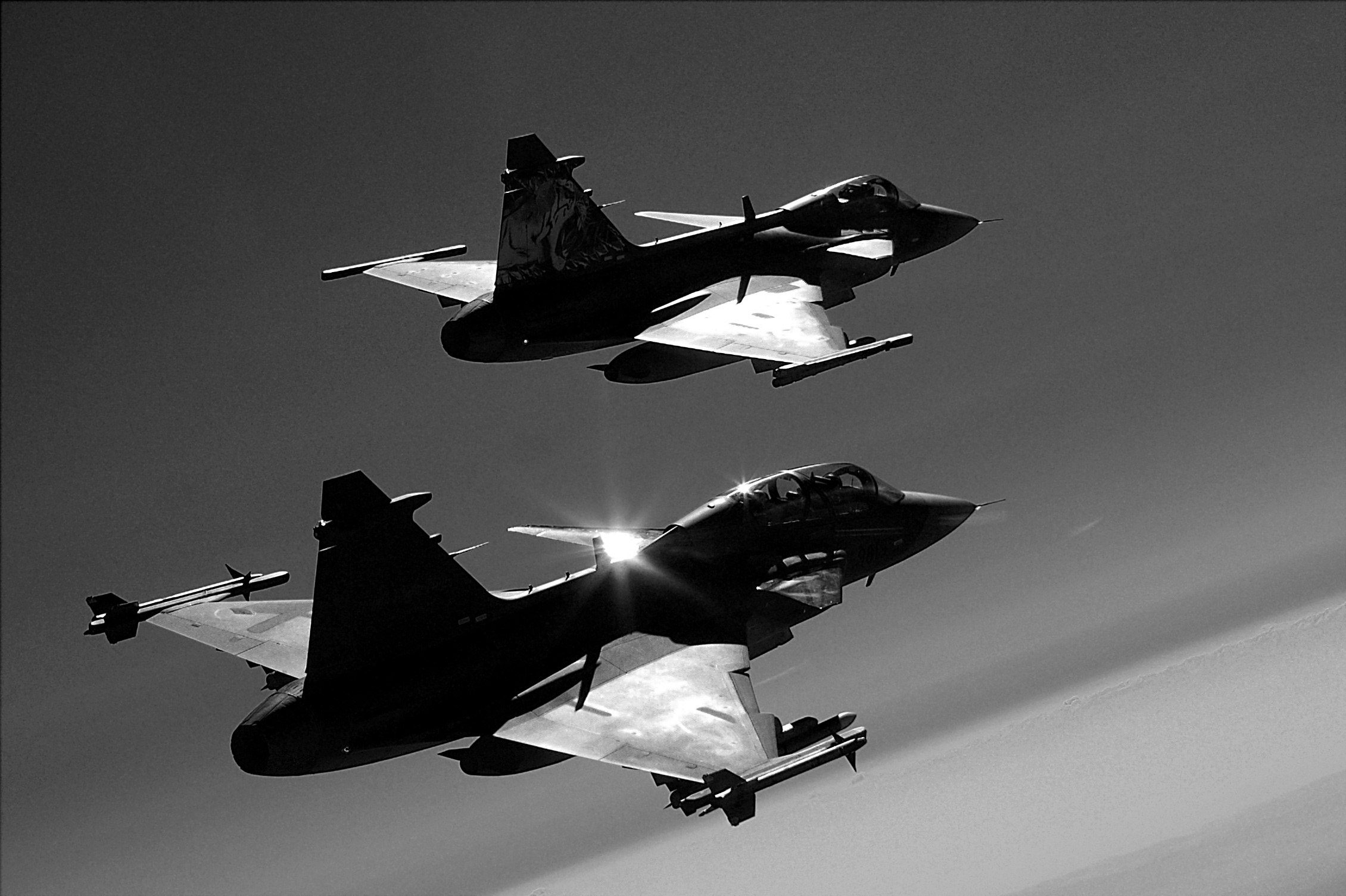 分享圖片：瑞典薩博JAS-39“鷹獅”輕型多用途戰鬥機 