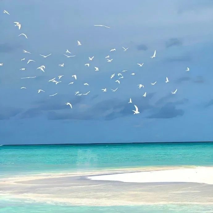 把普通的日子，过得有温度有意义。 