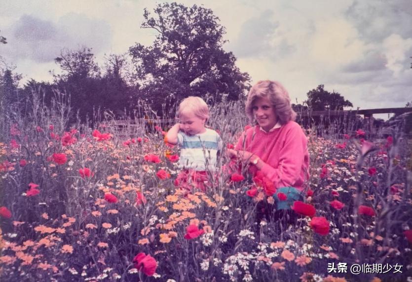 威廉王子也把戴安娜搬出来了！
今天是英国的母亲节，威廉王子分享了一张和戴安娜的合