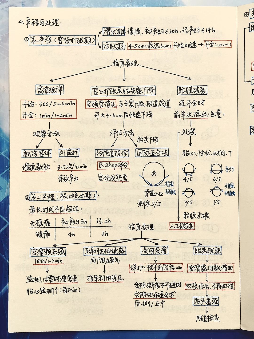 医学生笔记｜📝妇产科学·产程及处理