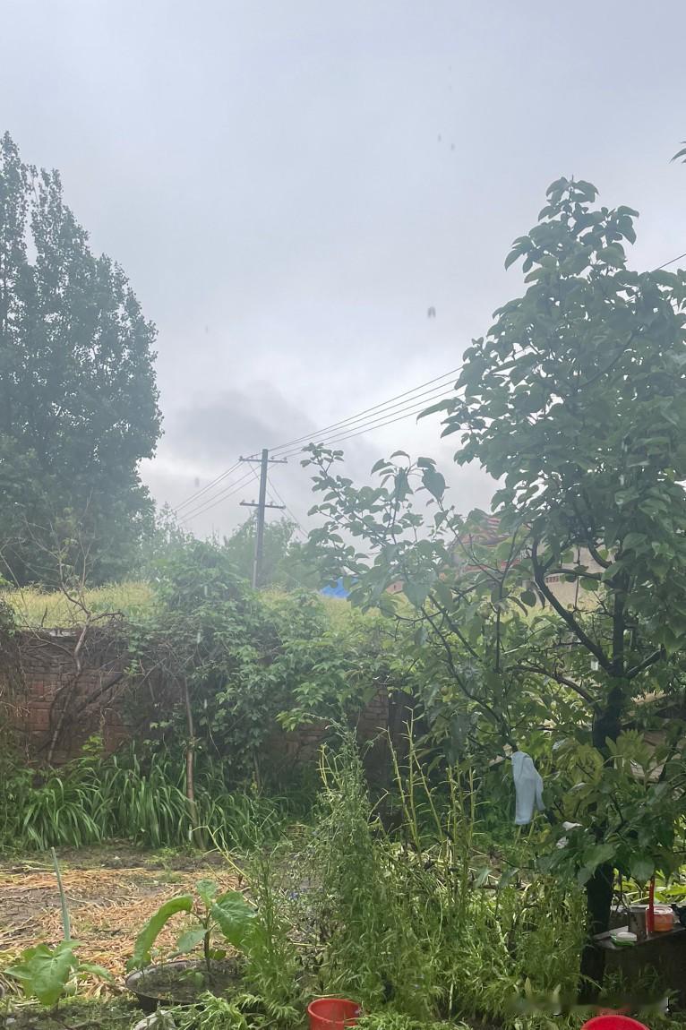 下雨了，今天不用干活，吃完早饭收拾完就躺床上刷手机了。

如果在自己家里这个点还