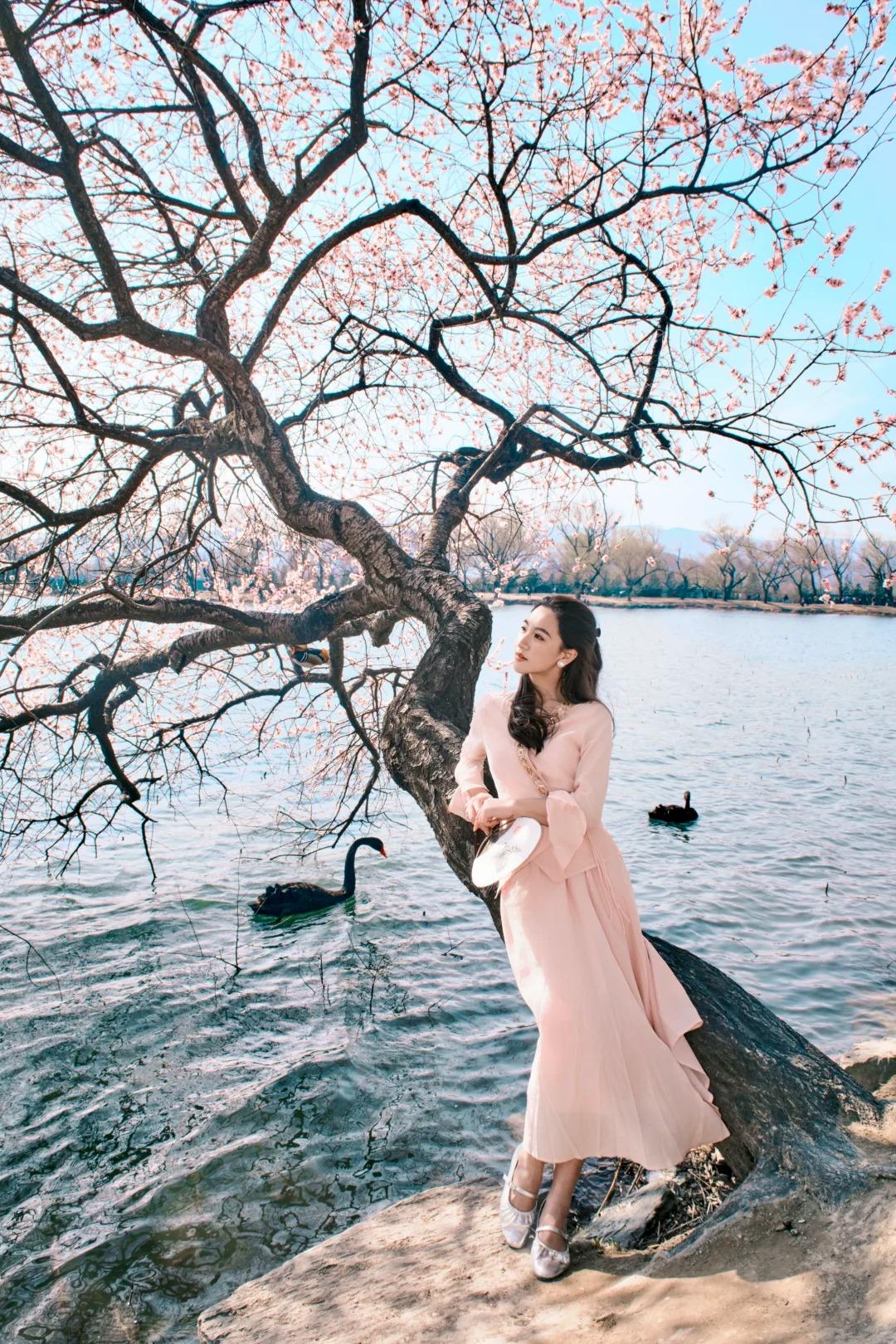 今日份幸运直接拉满，意外解锁了一个绝绝子机位，光线柔和又出片，衬得颐和园的亭台水