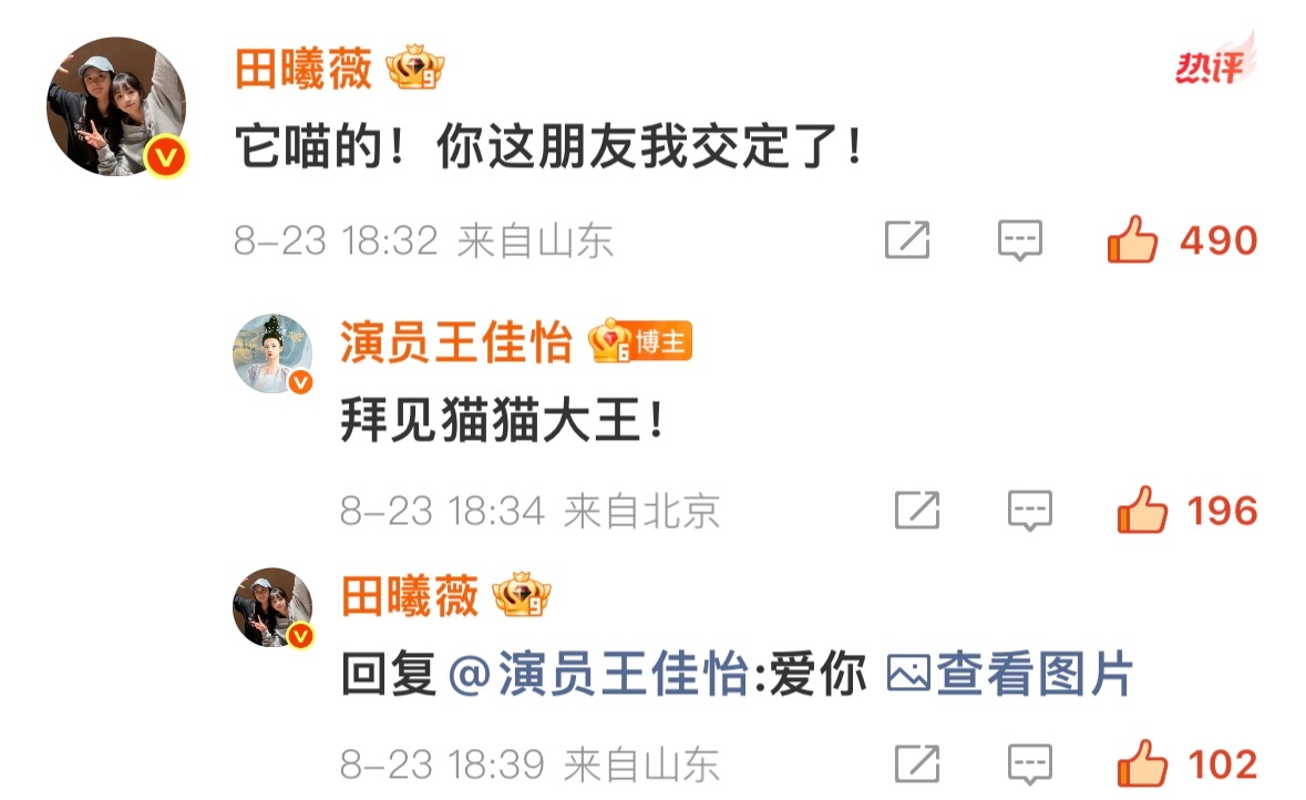 今天键盘轮冒烟了吧 努力剧宣的猫猫一只田曦薇武祯 ​​​