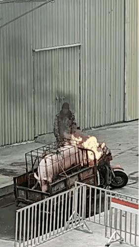 这头猪是够难受的了，跑也跑不了，动也动不了，只能在这里硬挺着挨烤，还好，最后终于