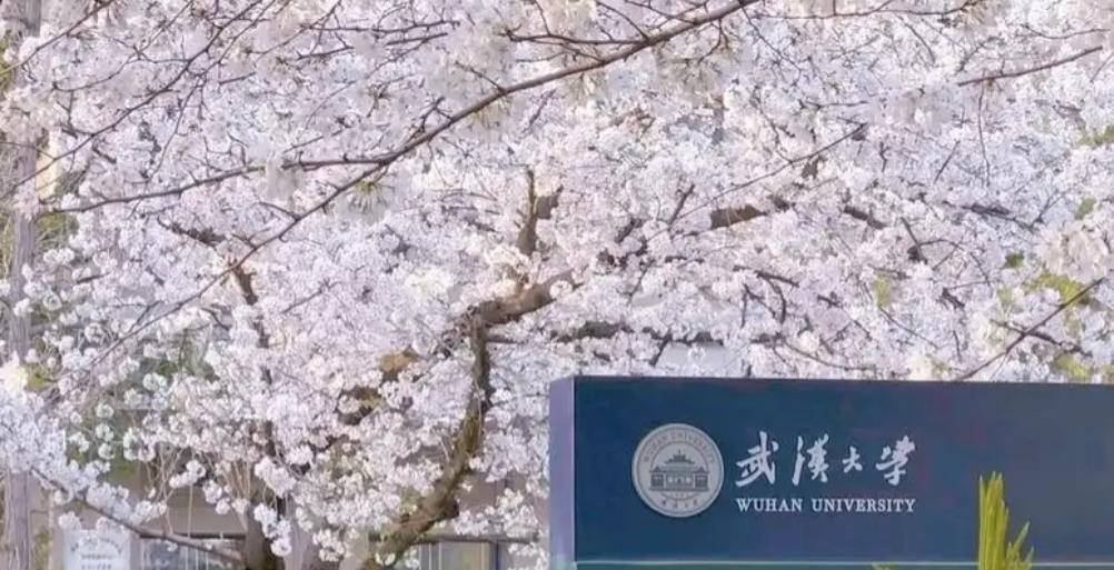武汉大学的合作对象有：东京大学、九州大学 、同志社大学 、北海道大学、大阪大学、