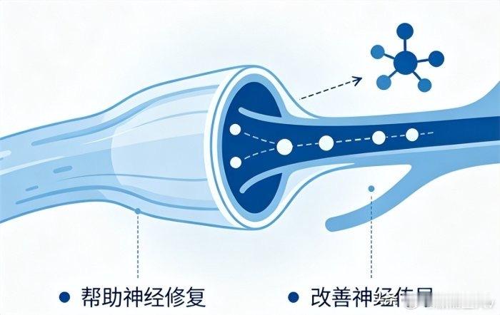 甲钴胺：服药后出现这5个迹象，说明你的神经正在悄悄修复·默斋主人原创科普散文在医