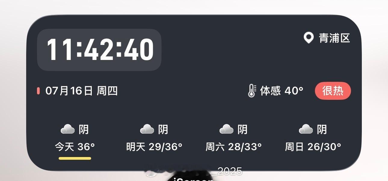 没有高温假吗？阳光房里烤猪猪啦！ 