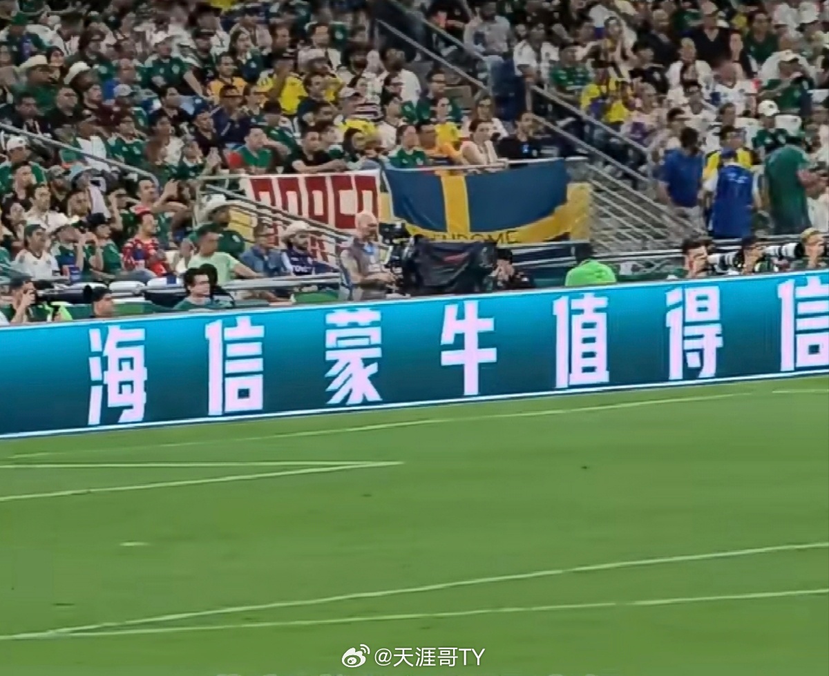 世界杯第一对中国cp出现了｜世界杯这对中国组合是最大显眼包 【世界杯】漫谈没有中