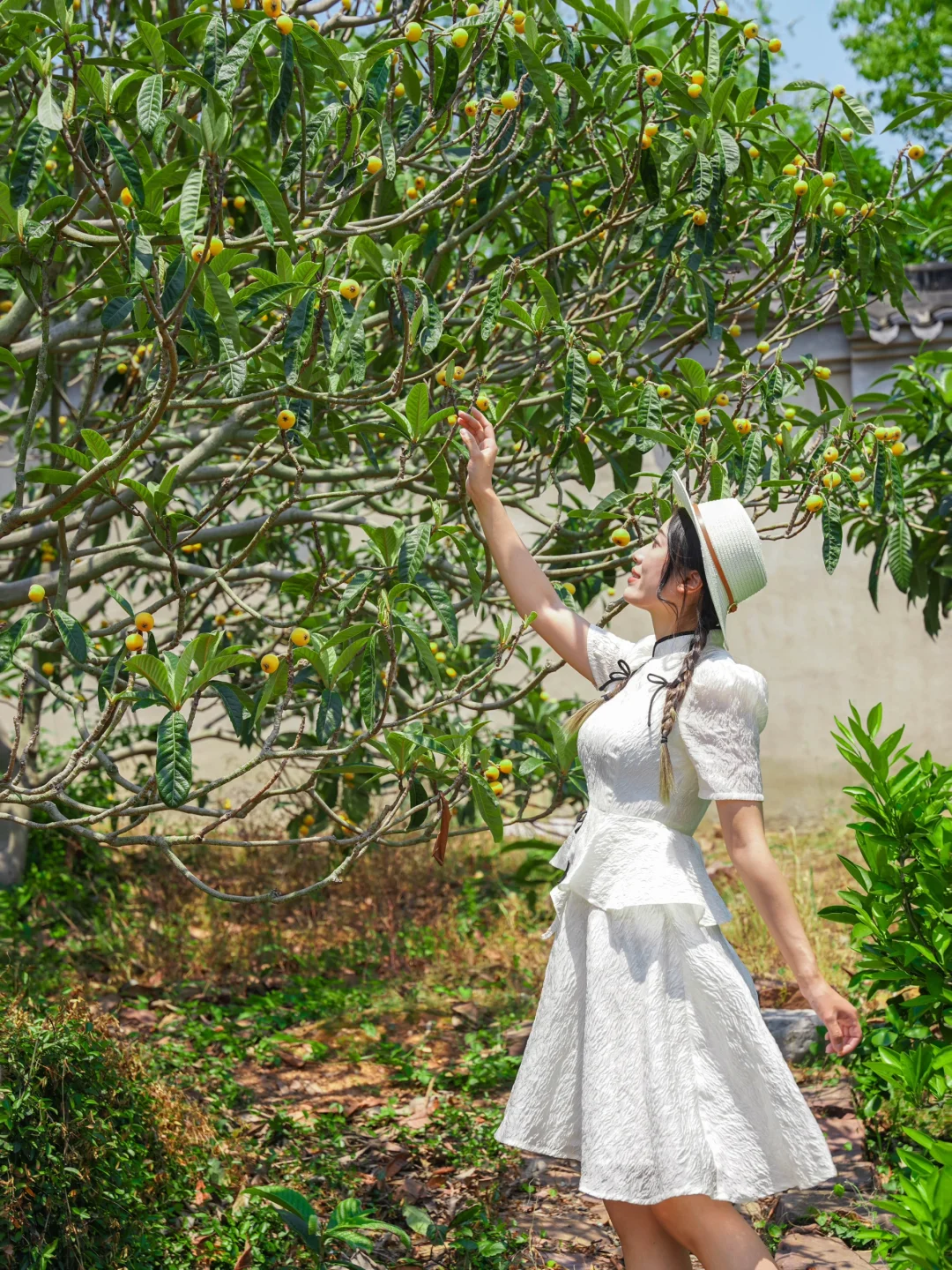 苏州最甜的枇杷在这里‼️打开东山正确玩法