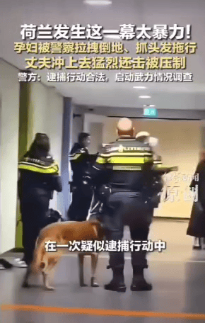 这么大的力量一把把孕妇拉扯摔倒在地上，
事后，荷兰官方还说人没有受伤。当群众的眼