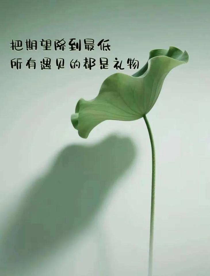 我曾经就是个特别爱替别人操心的人。无论是亲戚还是朋友，只要有事需要帮忙，我二话不