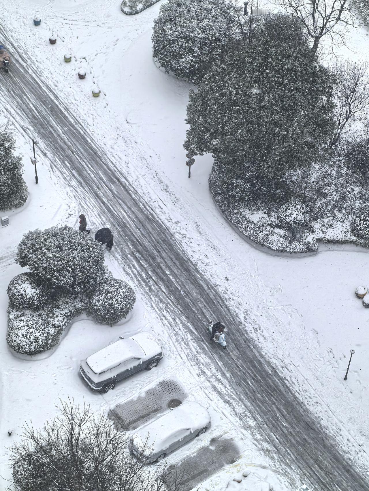 合肥，一夜过去，变成雪乡。合肥超级大降温 合肥会下雪