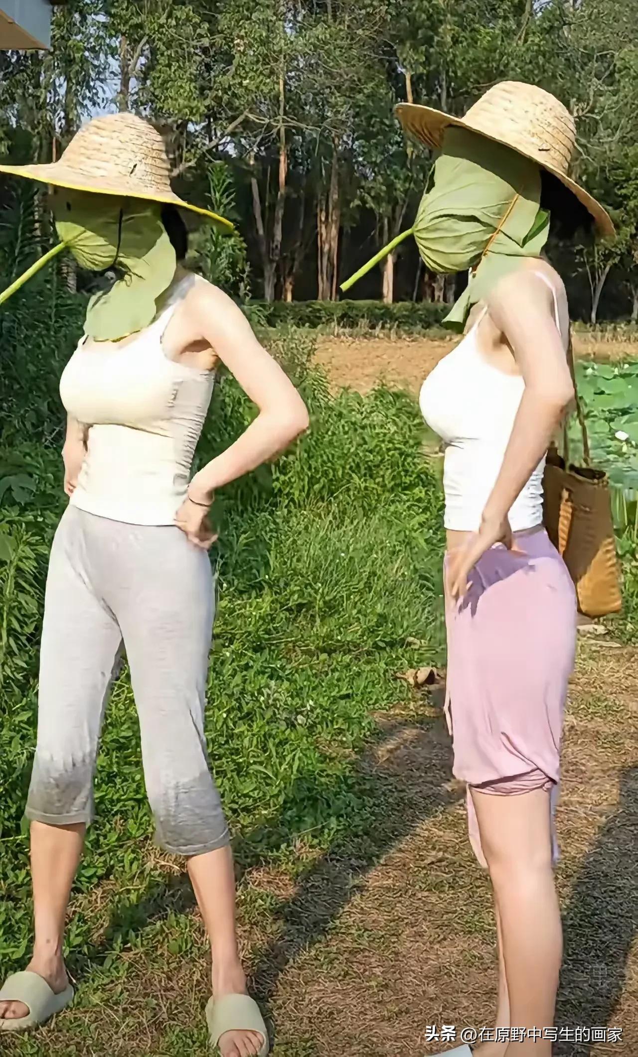 随手拍的风景照