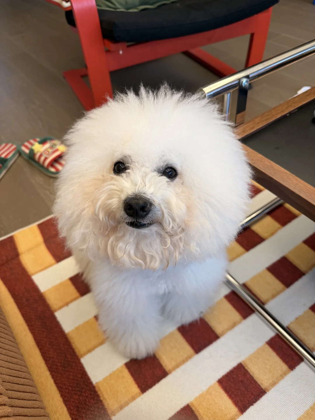 不说也看不出我们 十岁了吧～