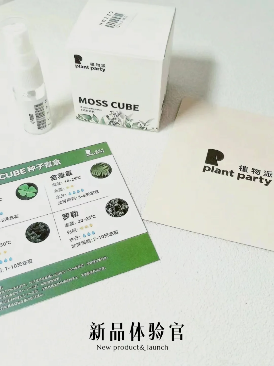 苔藓领养计划🌿那些被你“小瞧”的植物力她