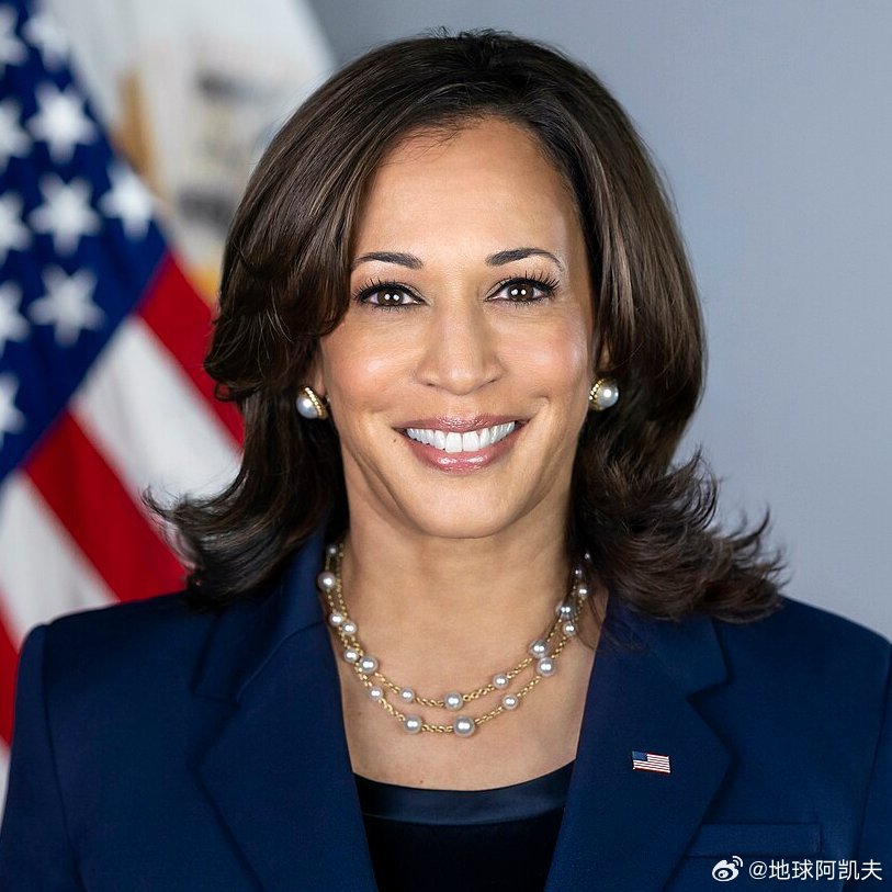 还有人记得卡马拉哈里斯吗？在拜登退出选举后，她没有用过任何投票环节就直接成为了民
