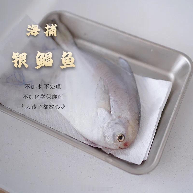 亲爱的们，今年的新鲳鱼上了哈  ～ ​​​