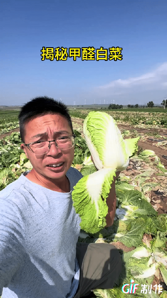 “甲醛白菜”看的让人触目惊心，光天化日装车现场蘸甲醛，已经成了行业内的潜规则，当