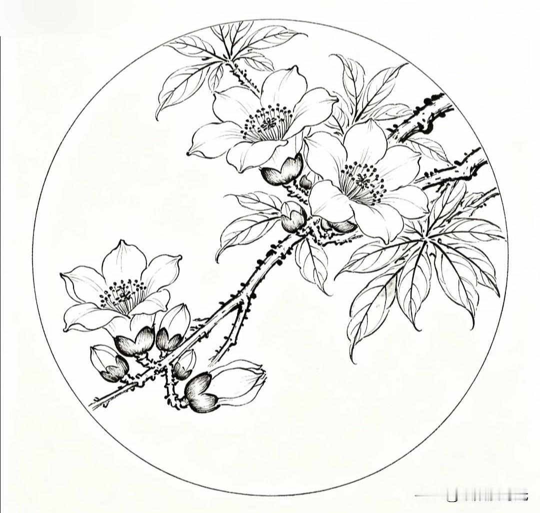 木棉绽枝头，黑白线描绘，风骨显高洁。
窗前看雪木棉花黑白线描图分享
木棉花期 木