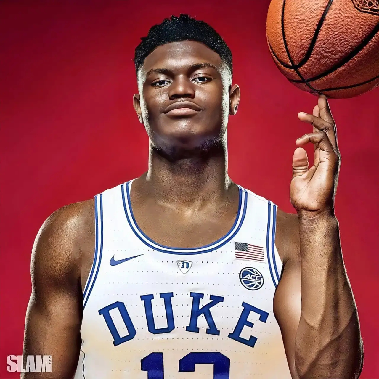 詹姆斯与锡安-威廉姆森的静态天赋根本不是一个档次的！詹姆斯，裸足身高2.03米，