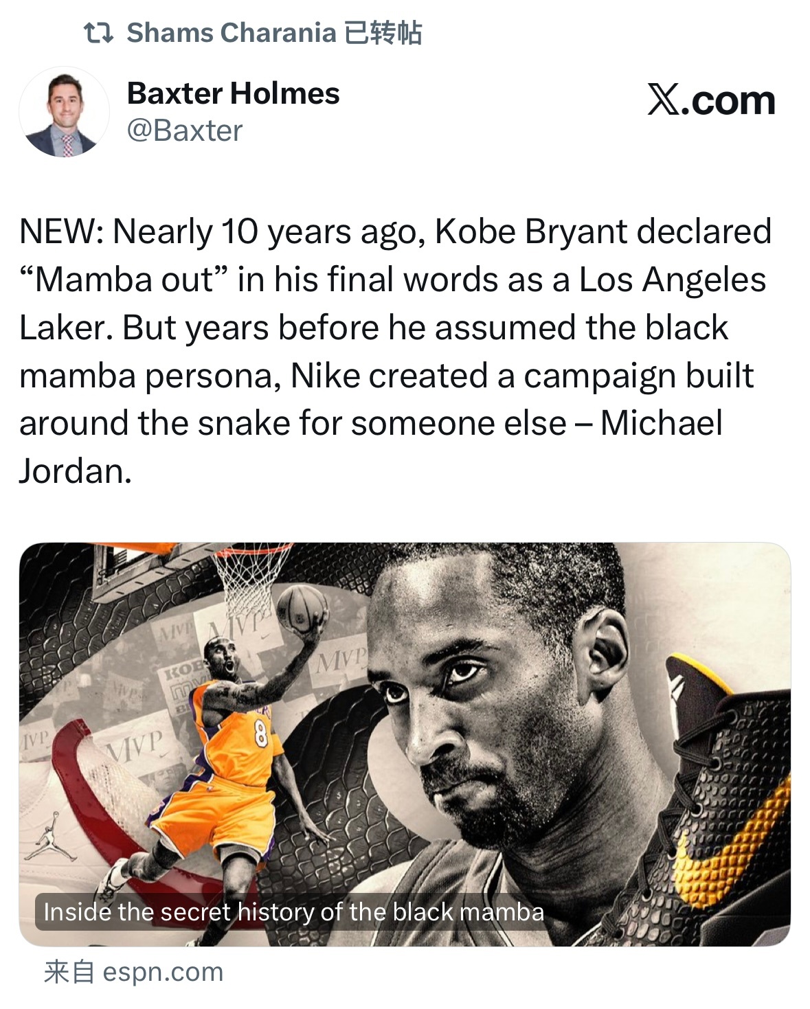 Shams转发陈年往事，黑曼巴这个概念本来是给乔丹 AJ19 设计的，因为乔丹怕