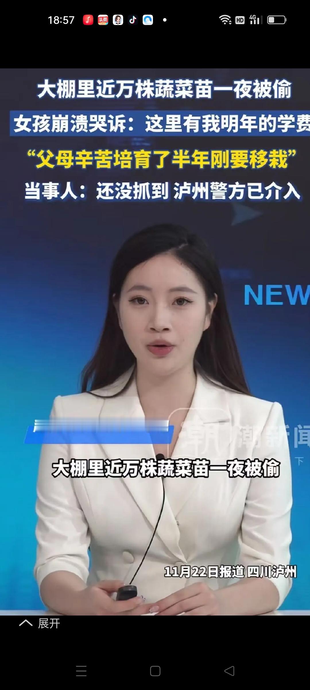 大棚里近万株蔬菜苗一夜被偷，女生崩溃爆哭：“这里是我明年的学费，父母辛苦培育了半