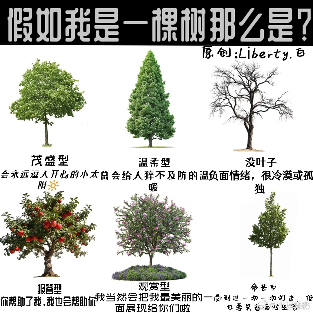 和我玩这个