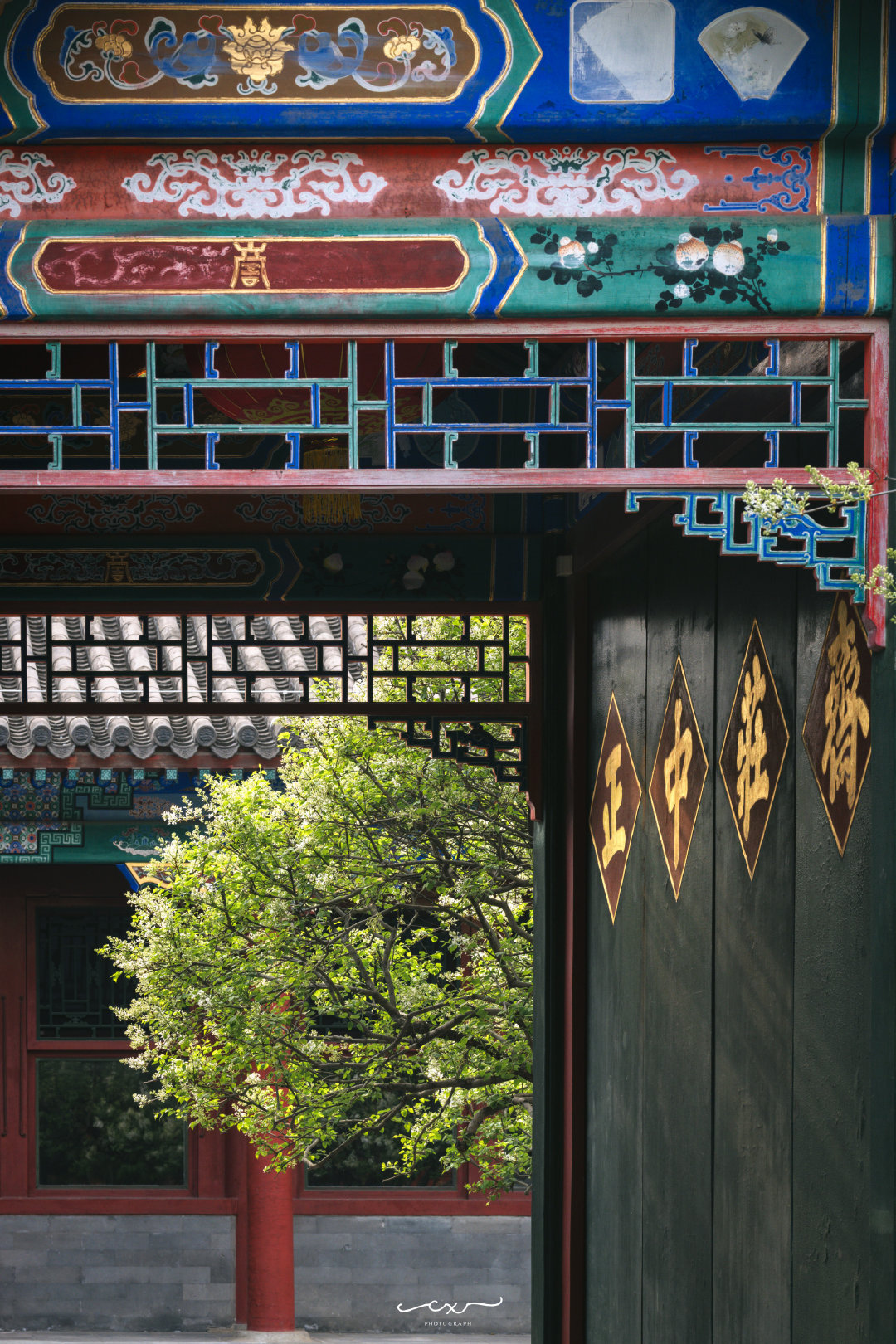 丁香枝上，豆蔻梢头。📍北京恭王府摄影 ​​​