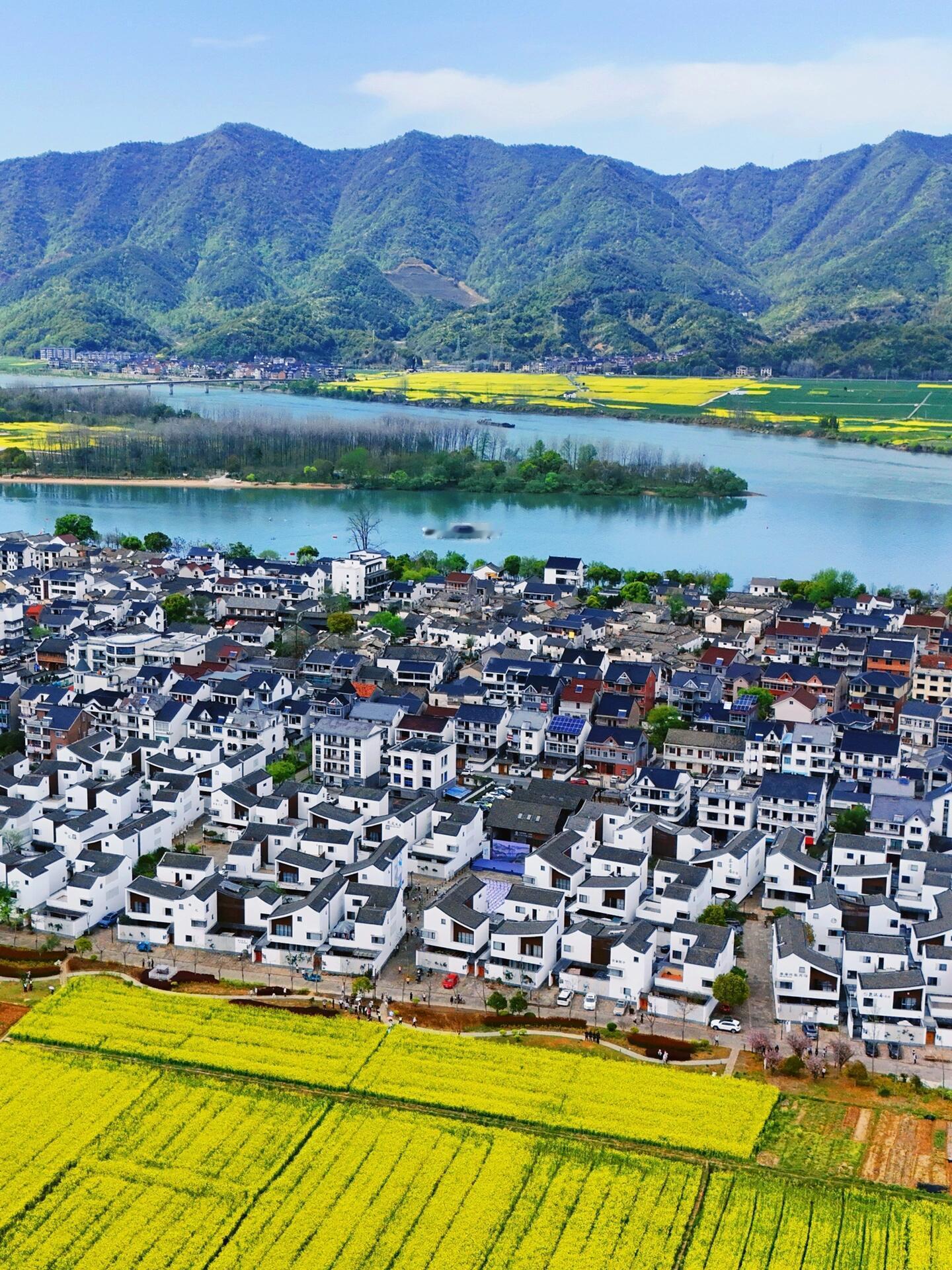 #镜头下的中国新农村##云南阿婆穿上牛油果高定# “‘新农人’扎根乡村，通过自身