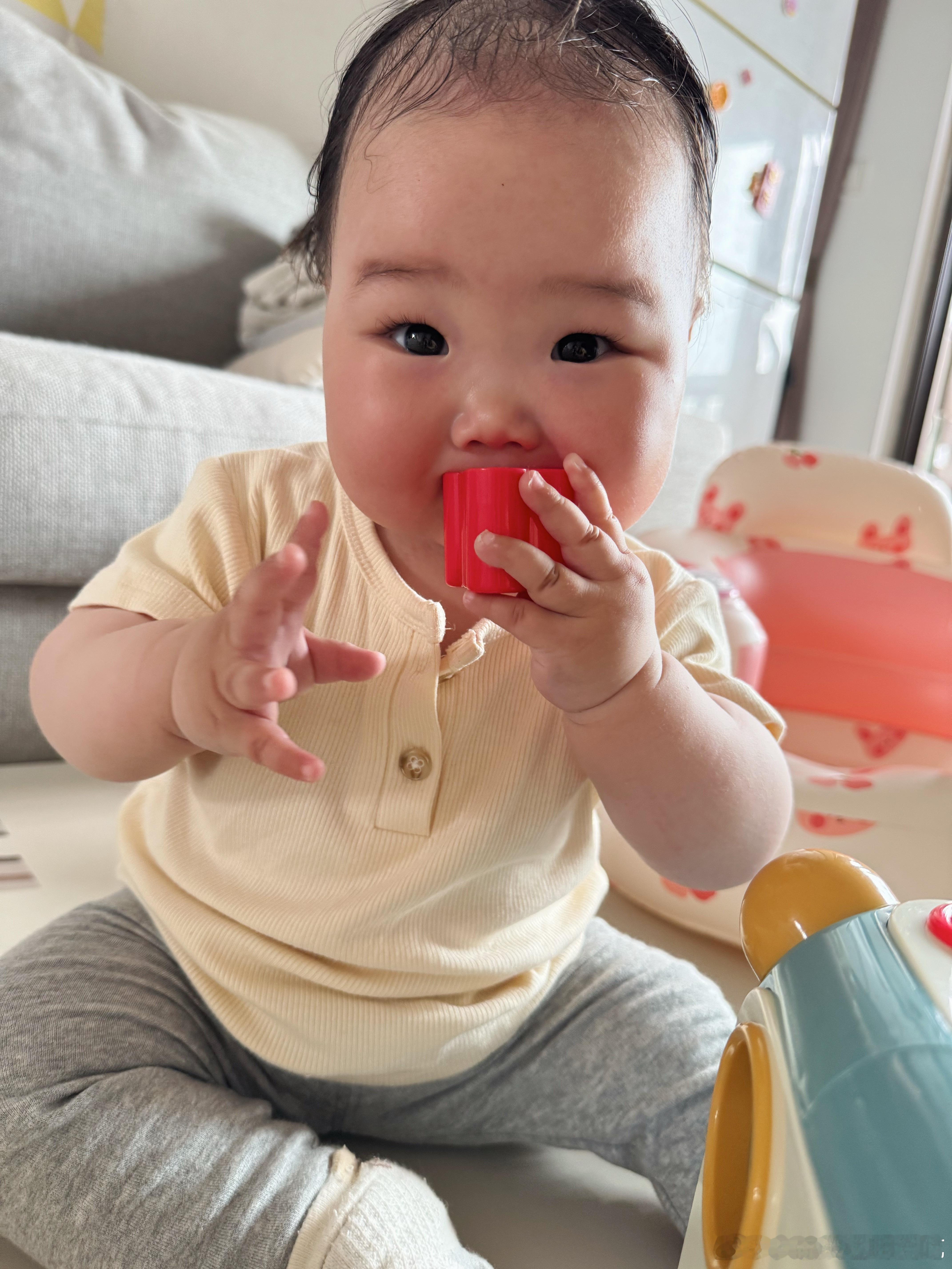 哎呀头发扎起来显得我们脸这么大的[哈哈][哈哈]西瓜瓜瓜瓜瓜 ​​​